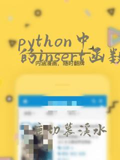 python中的insert函数