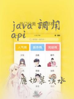 java 调用api