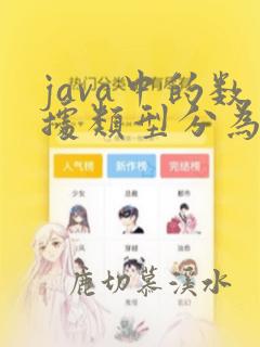 java中的数据类型分为两大类