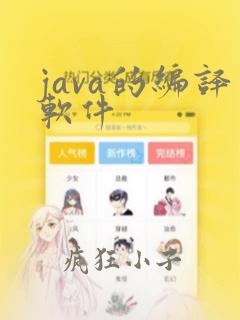java的编译软件