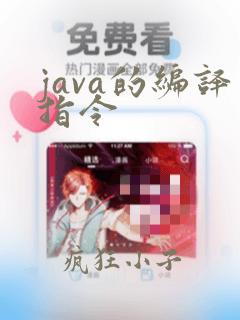 java的编译指令