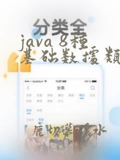 java 8种基础数据类型
