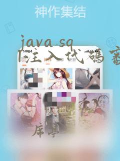 java sql注入代码审计