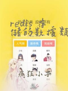 redis 存储的数据类型