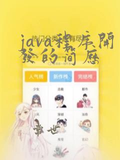 java程序开发的简历