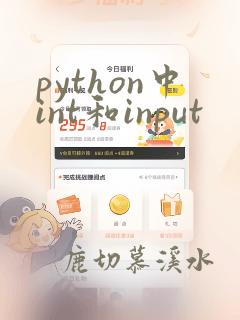 python中int和input