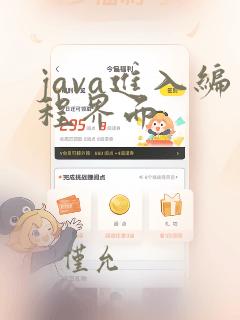 java进入编程界面