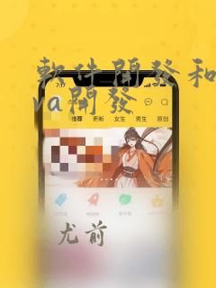 软件开发和java开发