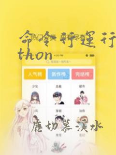 命令行运行python
