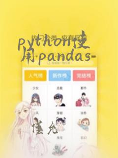python使用pandas