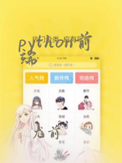 python前端