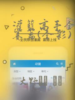 灌篮高手全国大赛篇(全彩)：结局+番外