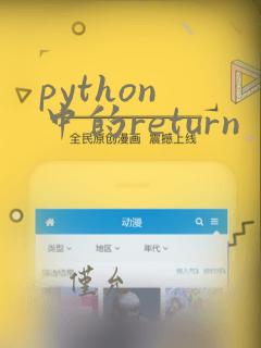 python 中的return