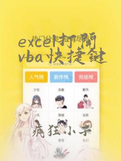 excel打开vba快捷键
