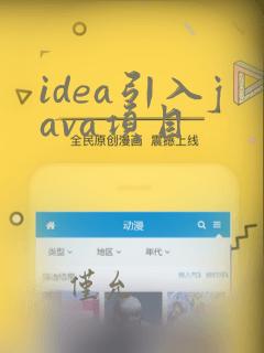 idea引入java项目