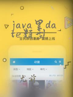 java里date类型