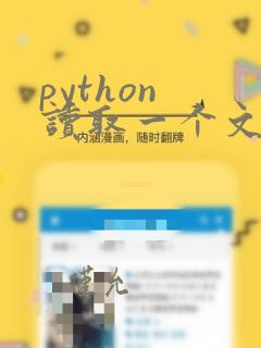 python 读取一个文件