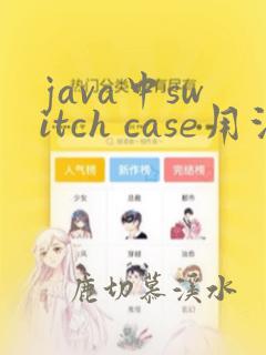 java中switch case用法