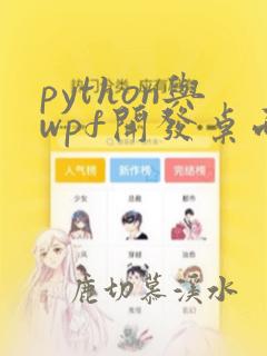 python与wpf开发桌面程序