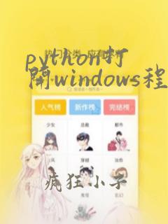 python打开windows程序
