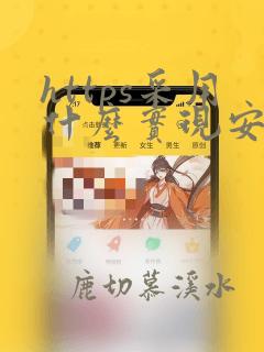 https采用什么实现安全网站访问