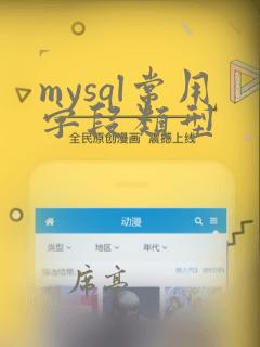 mysql常用字段类型