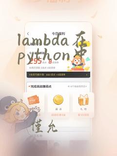 lambda在python中