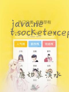 java.net.socketexception:connection