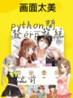 python开发erp系统