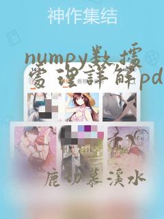 numpy数据处理详解pdf