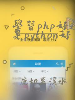 学习php好还是python好