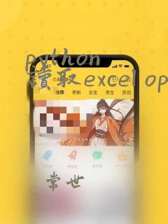 python 读取excel openpyxl