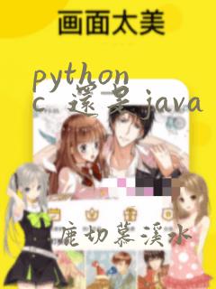 python c 还是java