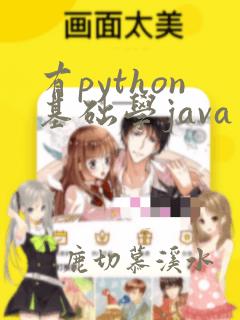 有python基础学java