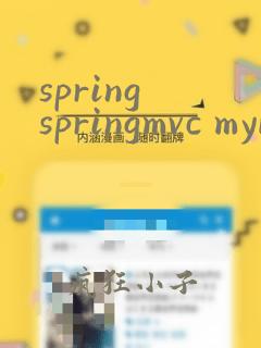 spring springmvc mybatis框架技术精讲