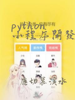 python 小程序开发