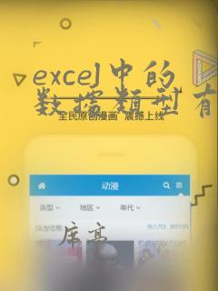 excel中的数据类型有
