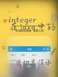 integer在java中的用法