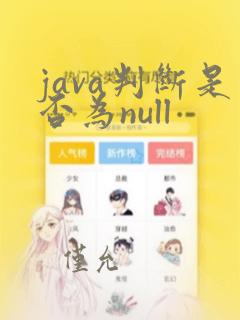 java判断是否为null
