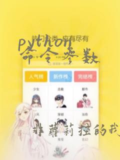 python 命令参数