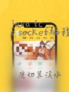 java tcp socket编程