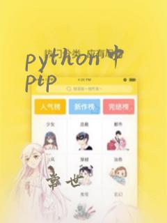 python中pip