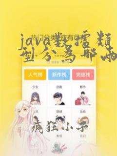 java数据类型分为哪两大类