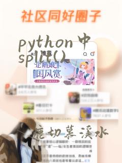 python中split()
