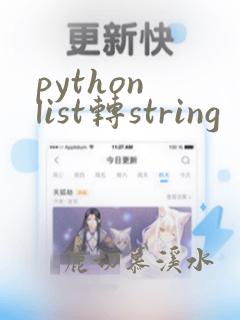 python list转string