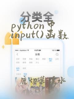 python中input()函数