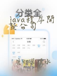 java程序开发公司