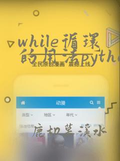 while循环的用法python