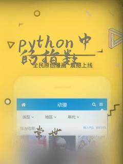 python中的指数