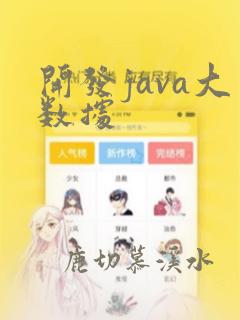 开发java大数据